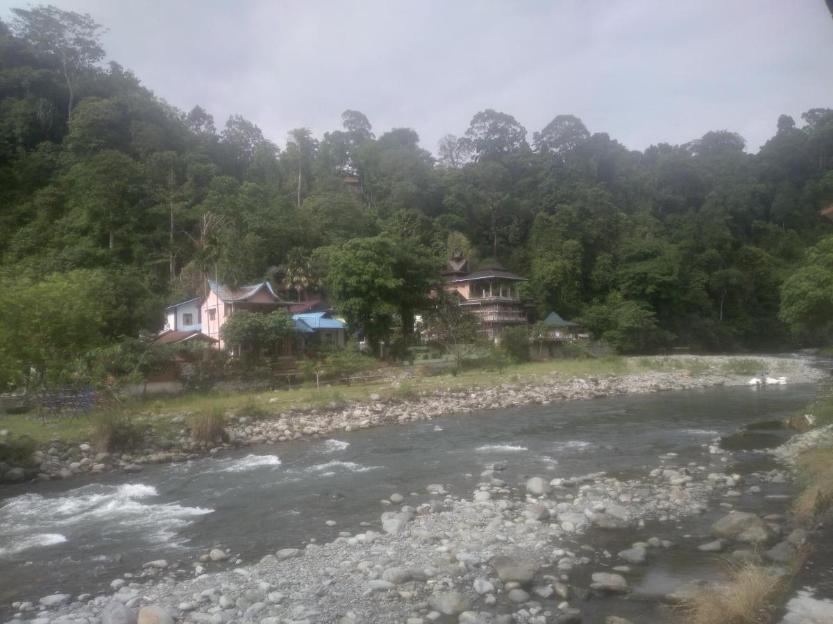 Umiyuki Jungle Tour Only Treking With As Hotel Bukit Lawang Buitenkant foto