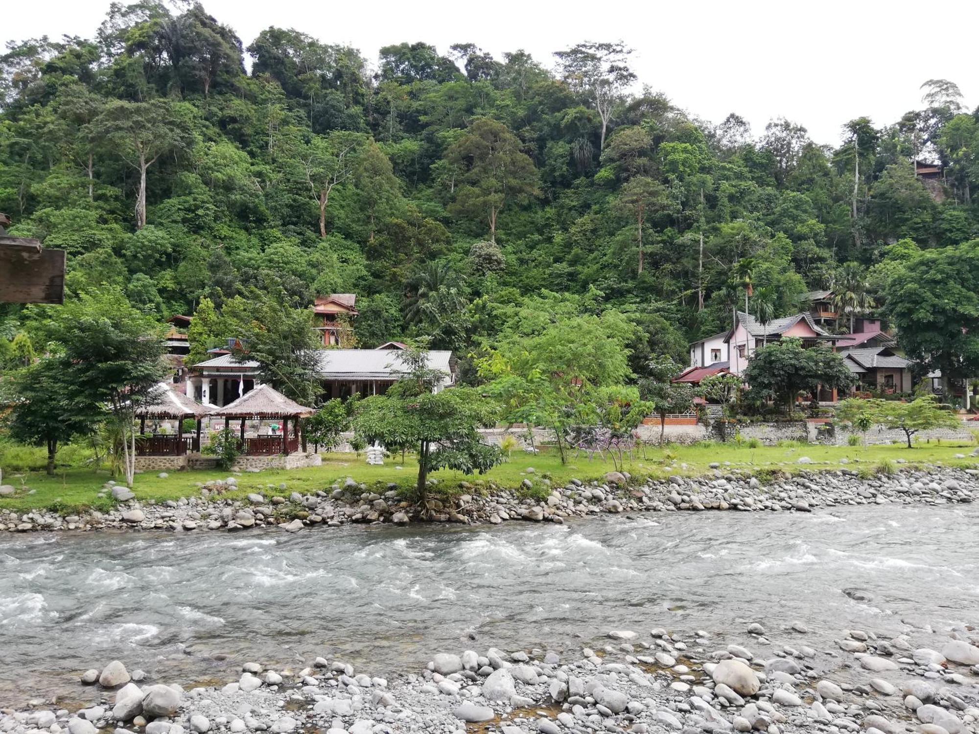 Umiyuki Jungle Tour Only Treking With As Hotel Bukit Lawang Buitenkant foto